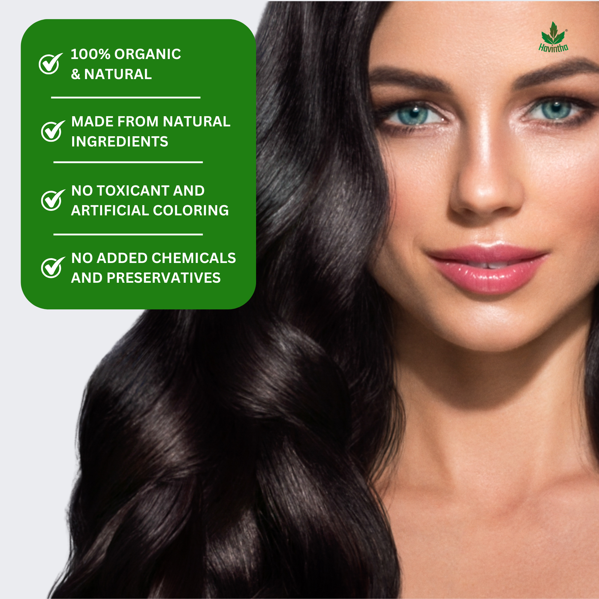 Havintha Natural Bhringraj Powder | For Strong & Silky Hair | 8 oz | 250 Grams (JAR)