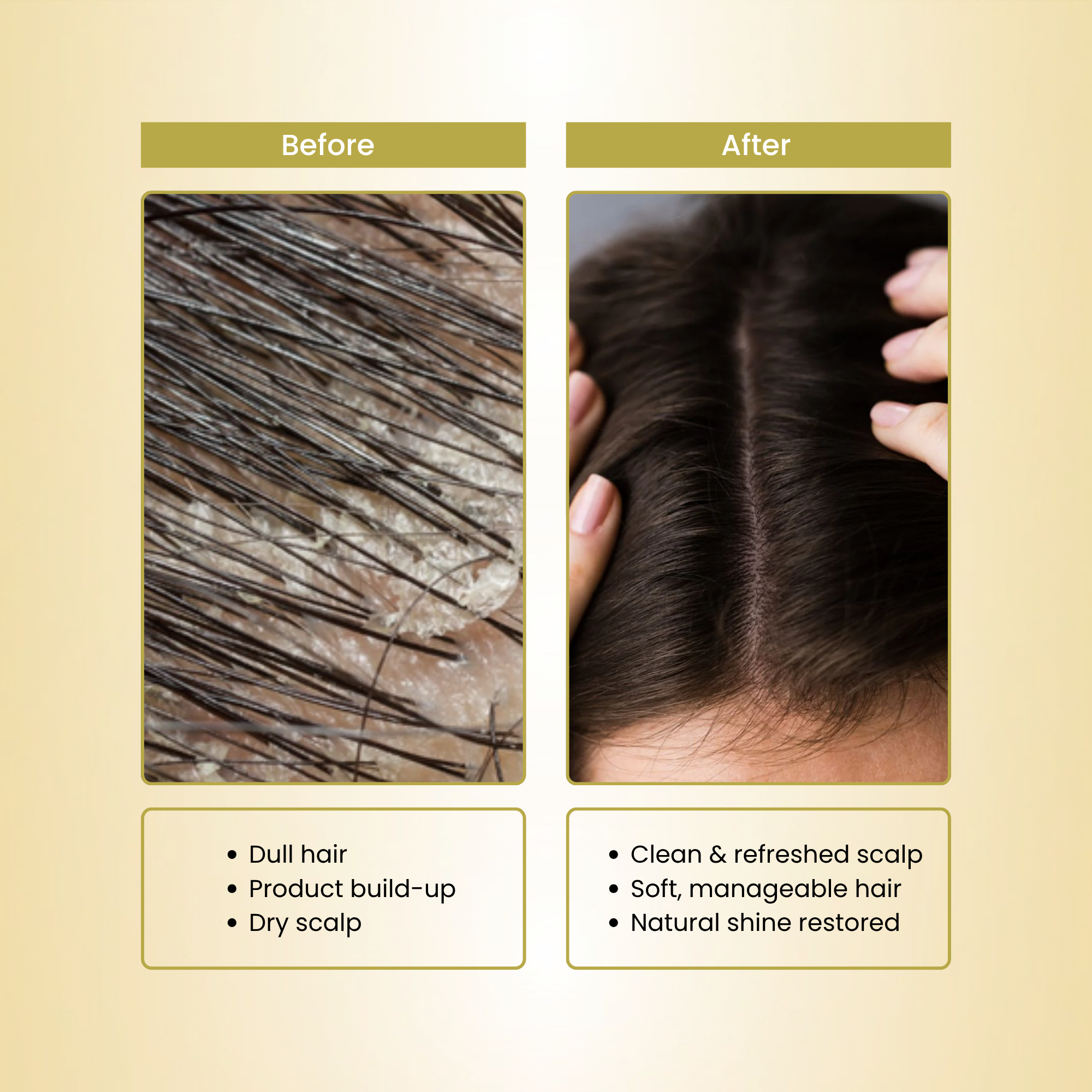 Havintha Herbal Sidr Leaves Powder 250g | Natural Hair Cleanser & Conditioner | For Dry & Damaged Hair