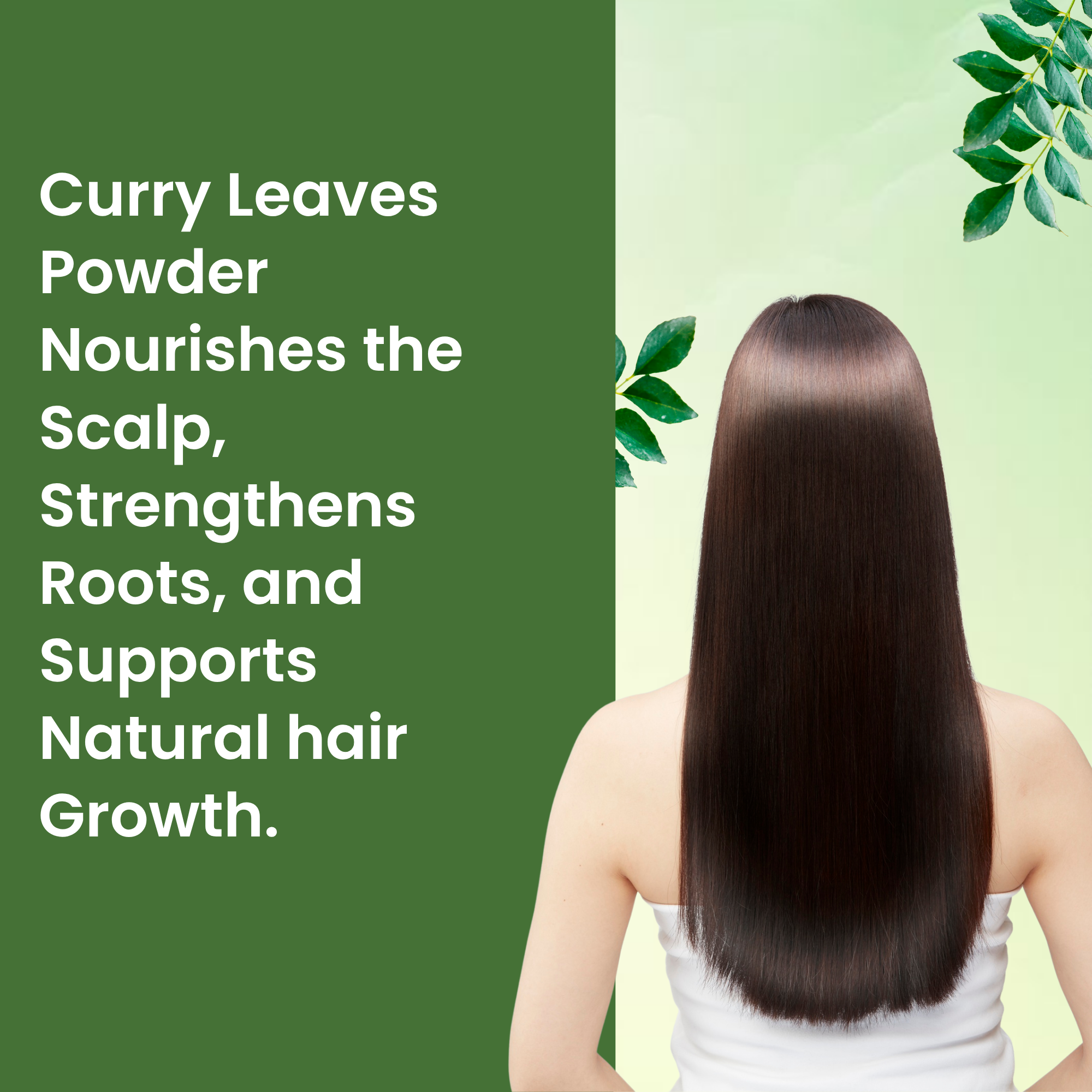 Havintha Natural Curry Leaves Powder (Murraya koenigii) for Hair Care | Hair Fall Solution | Curry Leaf for Hair Growth & Strong, Healthy Hair | Natural & Pure Kari Patta Powder | Shine & Nourishes Scalp - 3.5 oz | 0.2 lb | 100 gm