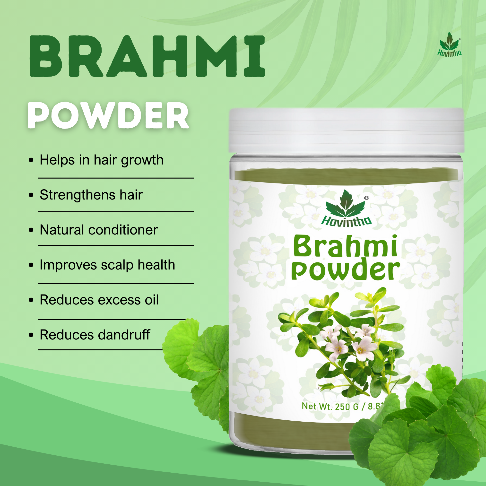 Havintha Brahmi Powder | For Good Health & Haircare | 8 oz | 250 Grams (JAR)