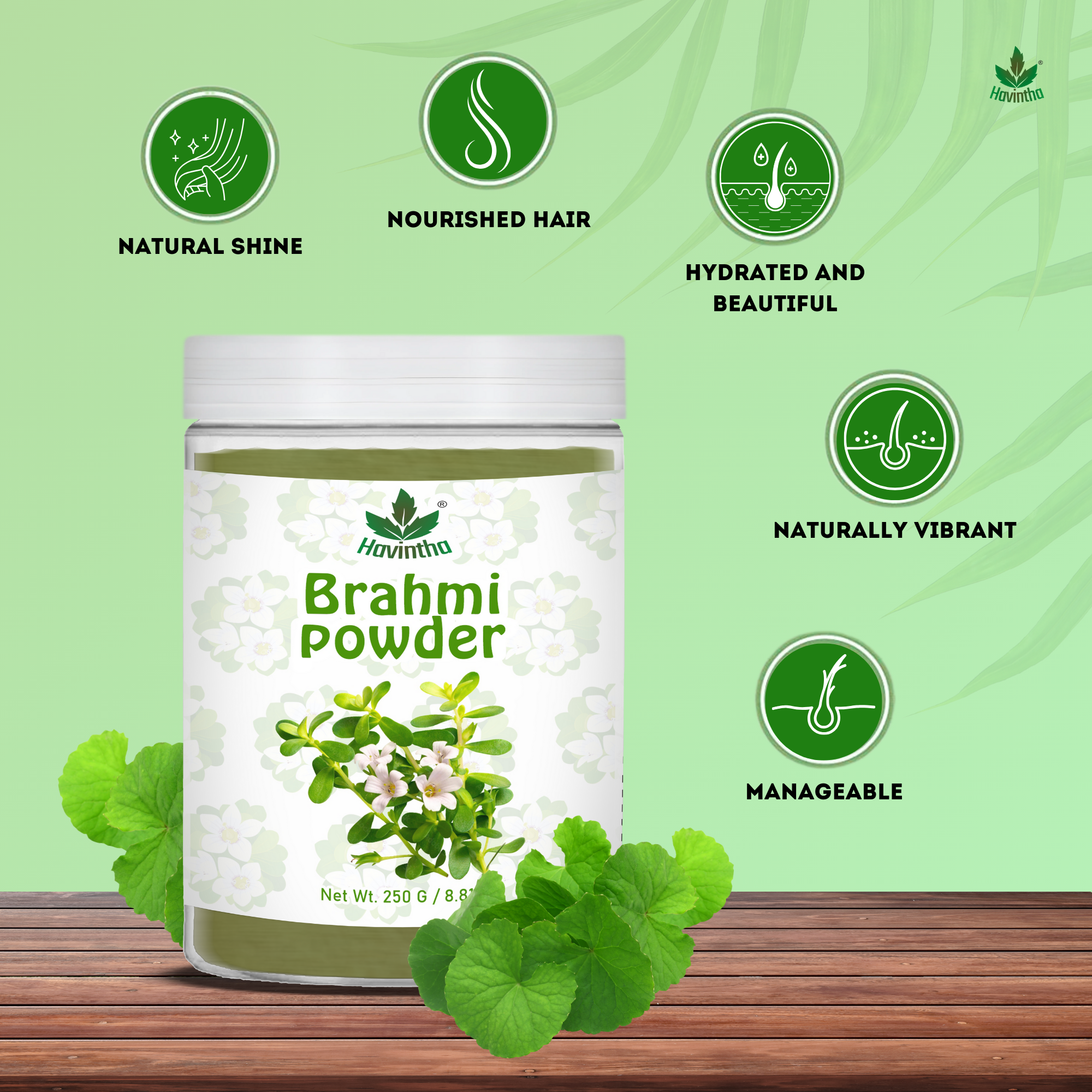 Havintha Brahmi Powder | For Good Health & Haircare | 8 oz | 250 Grams (JAR)