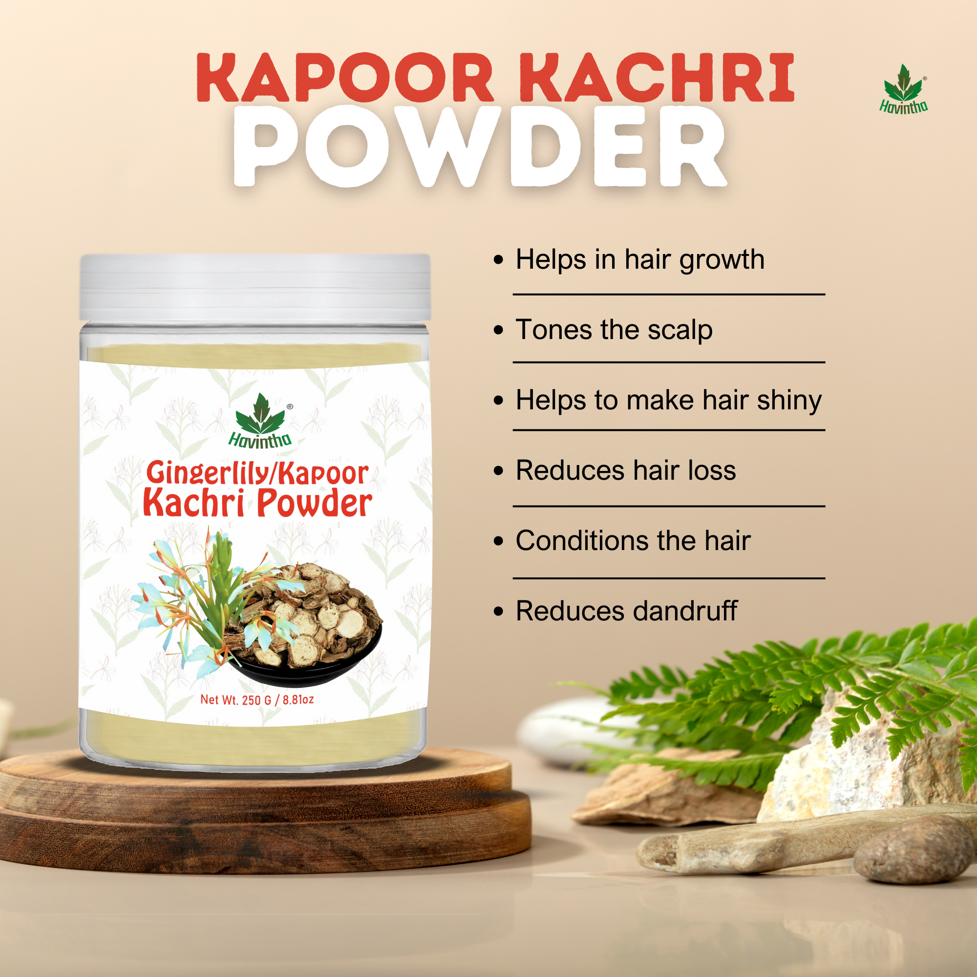 Havintha Natural Kapoor Kachri Powder | For Hair Growth | For Dandruff & Scalp Infection | 8 oz | 250 Grams (JAR)