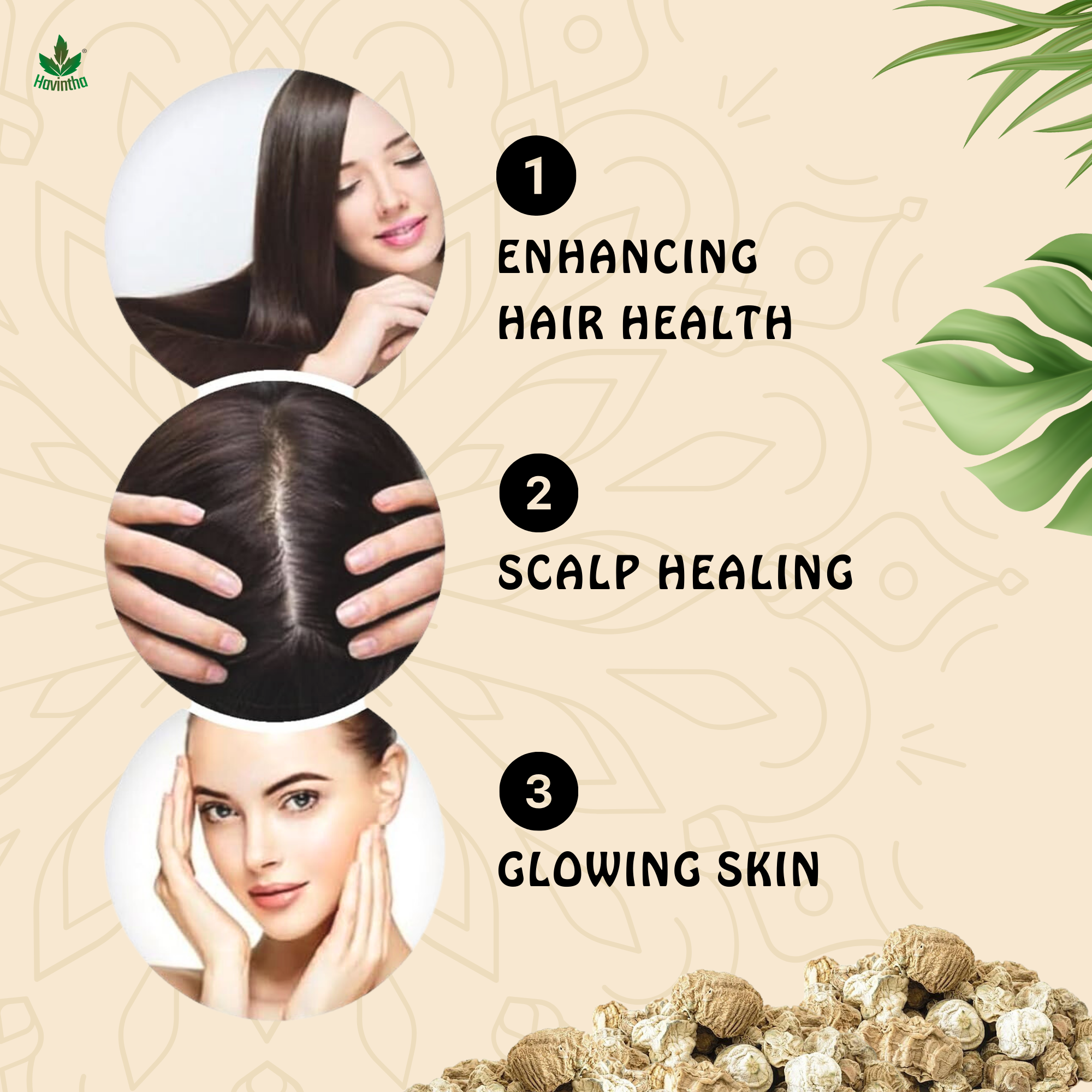 Havintha Natural Kapoor Kachri Powder | For Hair Growth | For Dandruff & Scalp Infection | 8 oz | 250 Grams (JAR)