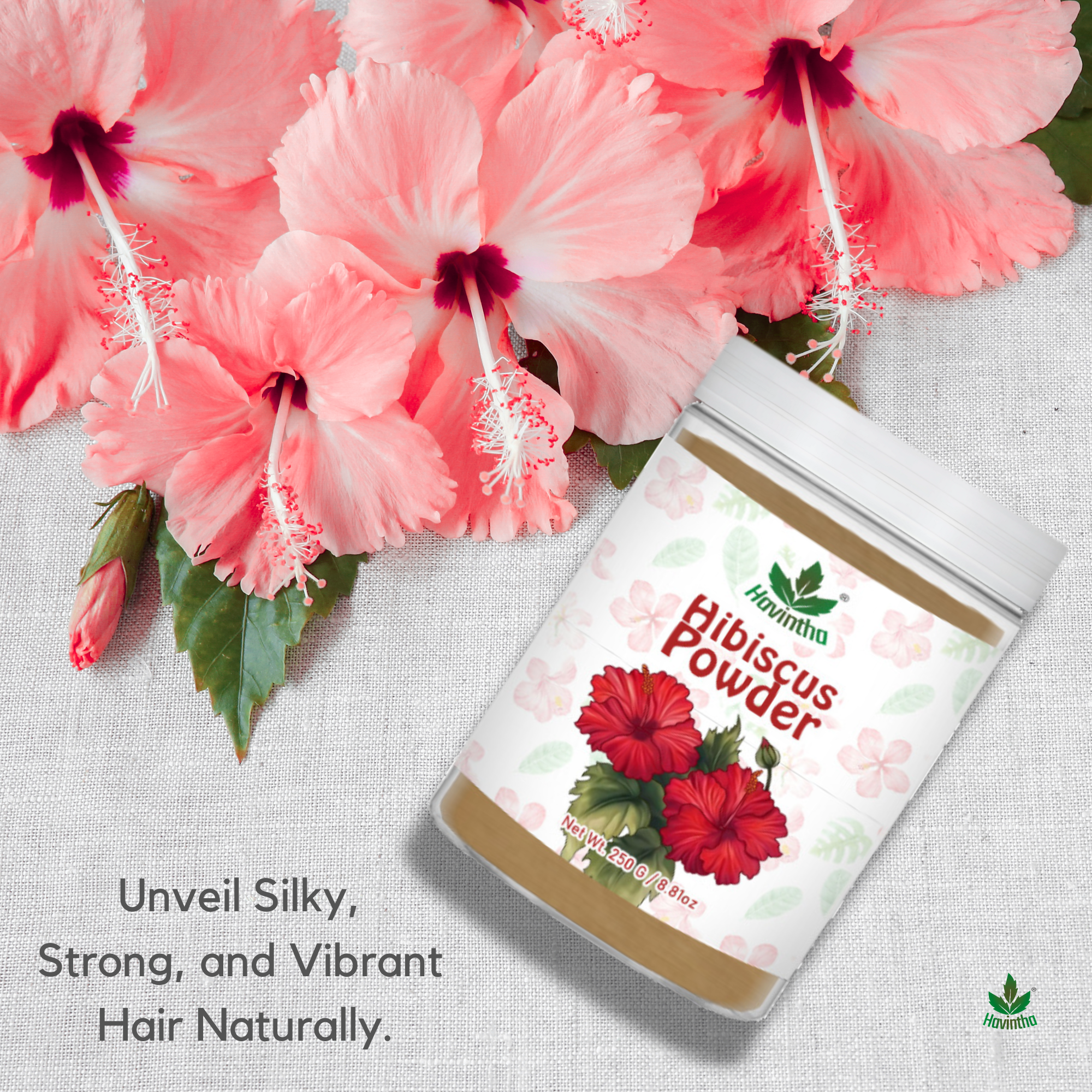 Havintha Natural Hibiscus Powder For Shiny Hair | For Strong Hair | Men & Women - 8 oz | 250 Grams (JAR)