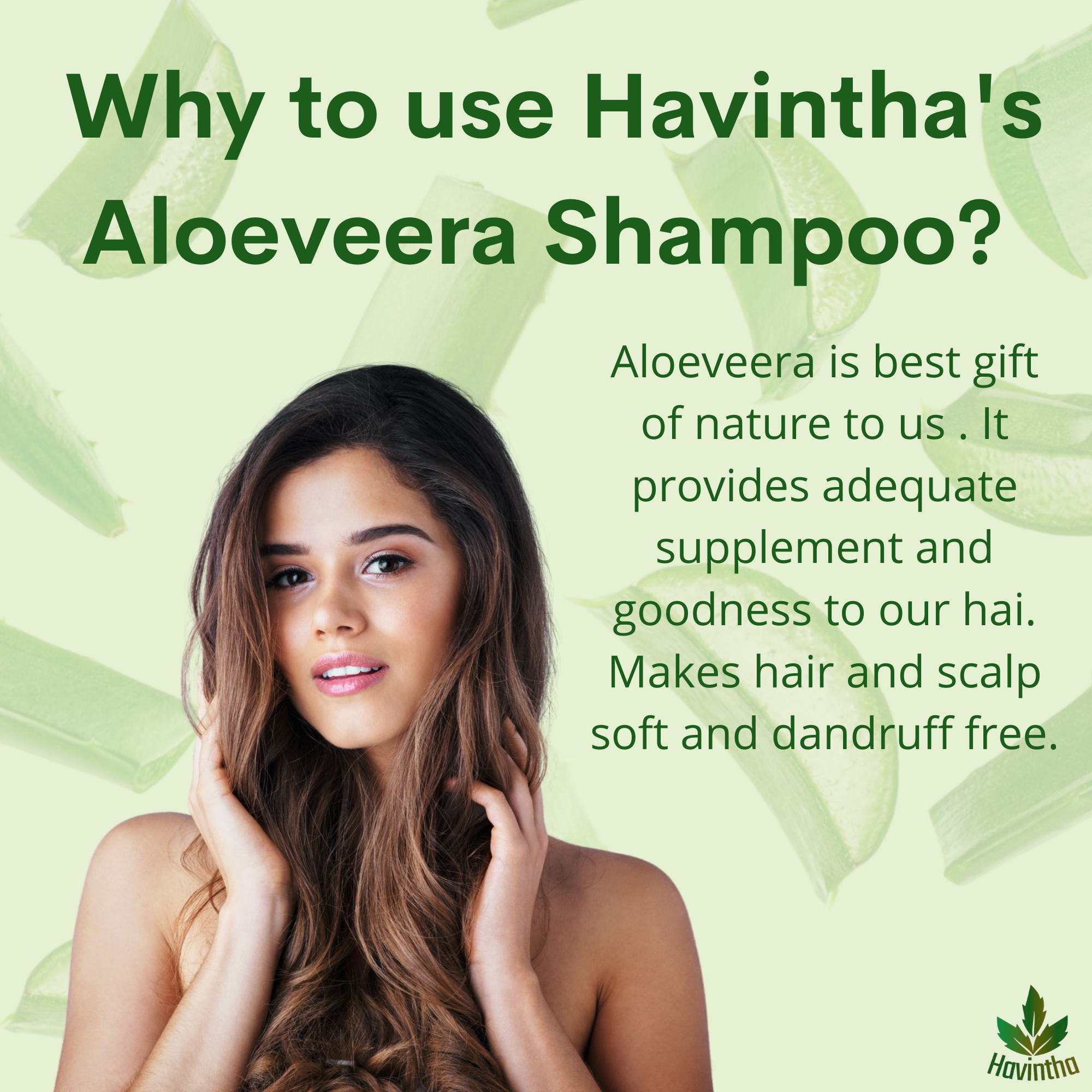Havintha Natural Amla Reetha Shikakai and Aloevera Powder Shampoo for Oily Hair - 8 oz | 0.5 lb | 227 gm