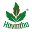 Havintha Global