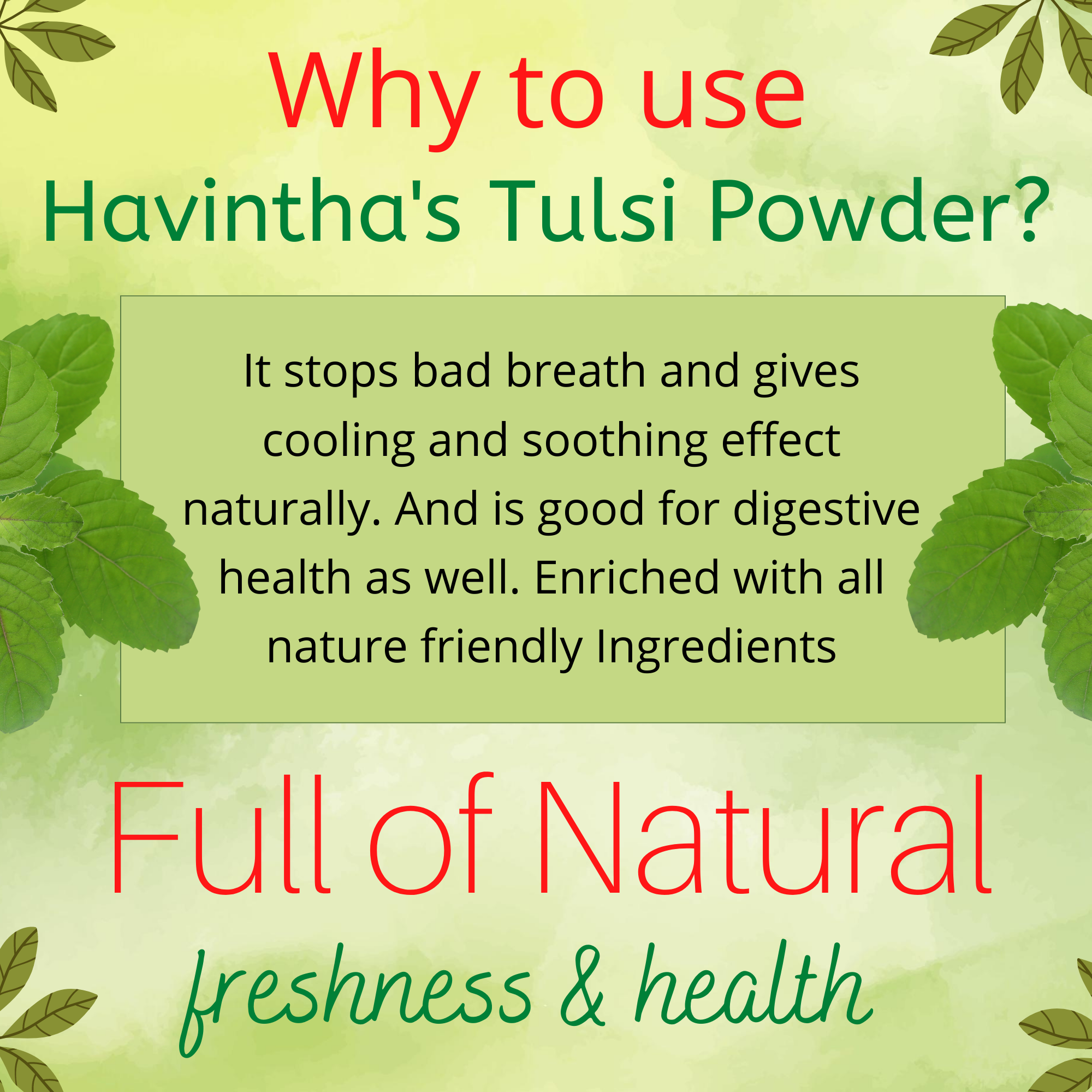 Havintha Tulsi powder for lungs, brain, skin & hair health - Holy Basil - 8 oz | 0.5 lb | 227 gm