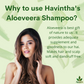Havintha Natural Amla Reetha Shikakai and Aloevera Powder Shampoo for Oily Hair -  8 oz | 0.5 lb | 227 gm
