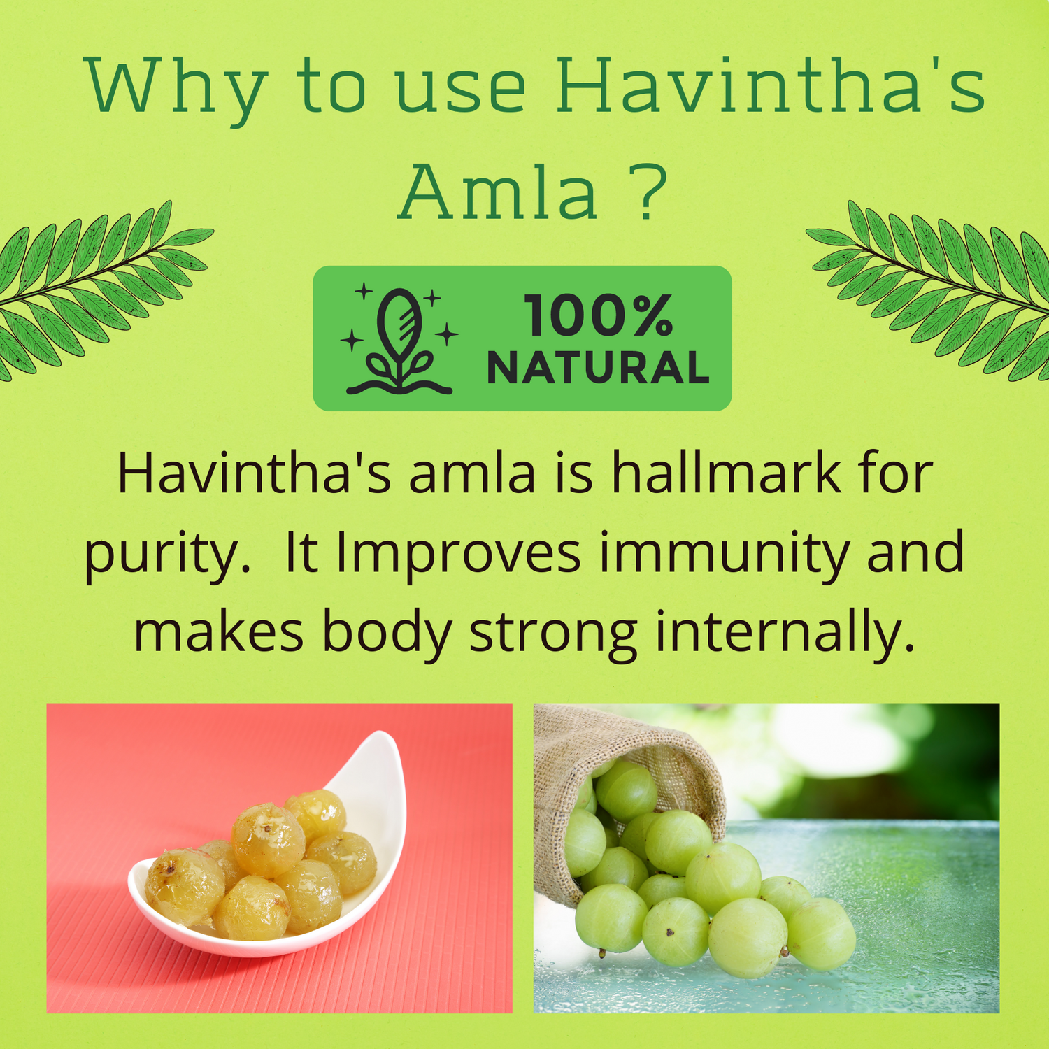 Havintha Natural Amla (Raw form) - 8 oz | 0.2 lb | 227 gm