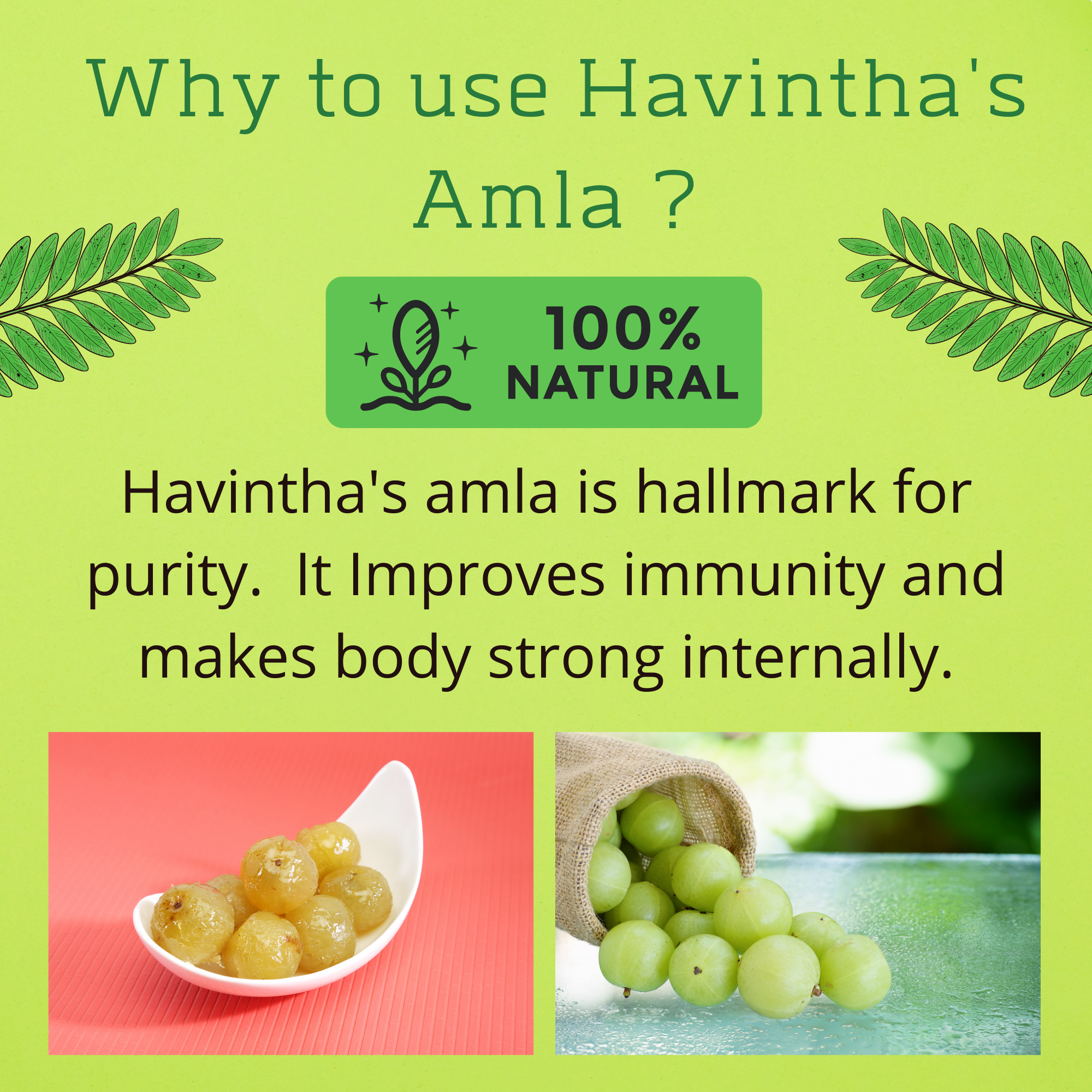Havintha Natural Amla (Raw form) - 8 oz | 0.2 lb | 227 gm