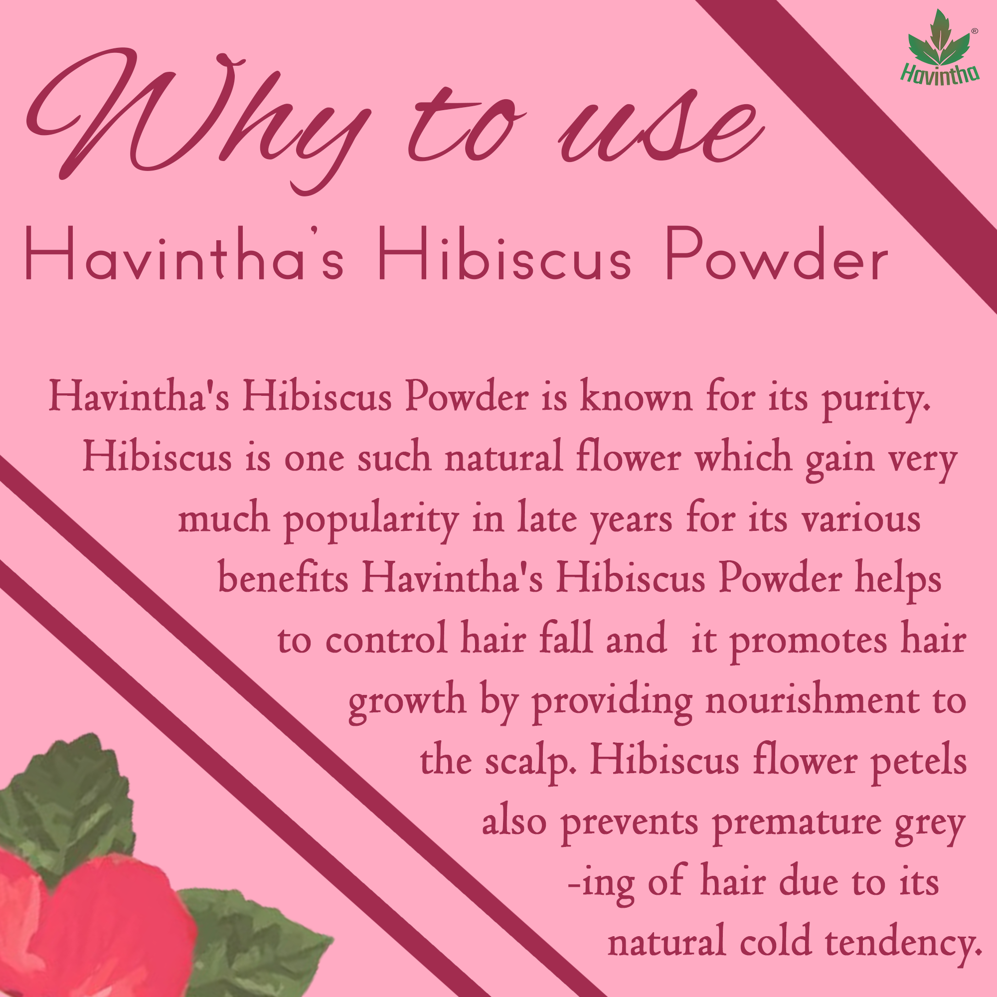 Havintha Natural Hibiscus Powder for Hair Growth & Prevents Hair Fall - 8 oz | 0.5 lb | 227 gm