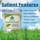 Havintha Wheat Grass Powder for Weight Loss - 3.5 oz | 0.2 lb | 100 gm