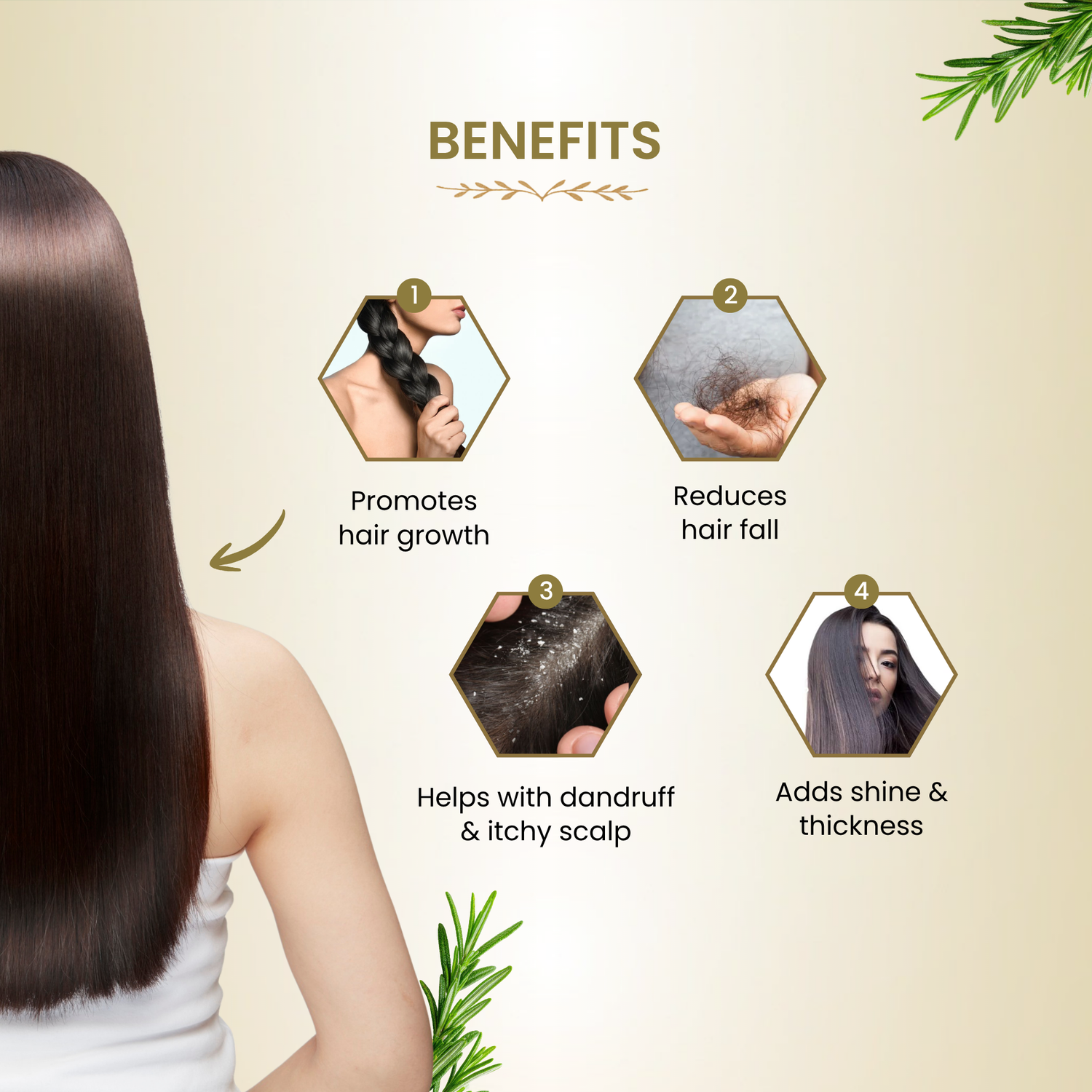 Havintha Rosemary Leaves 200g | Natural Dried Rosemary Leaves for Hair Care | Premium Quality