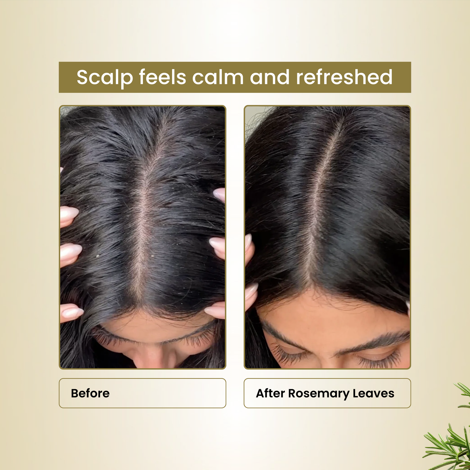 Havintha Rosemary Leaves 200g | Natural Dried Rosemary Leaves for Hair Care | Premium Quality