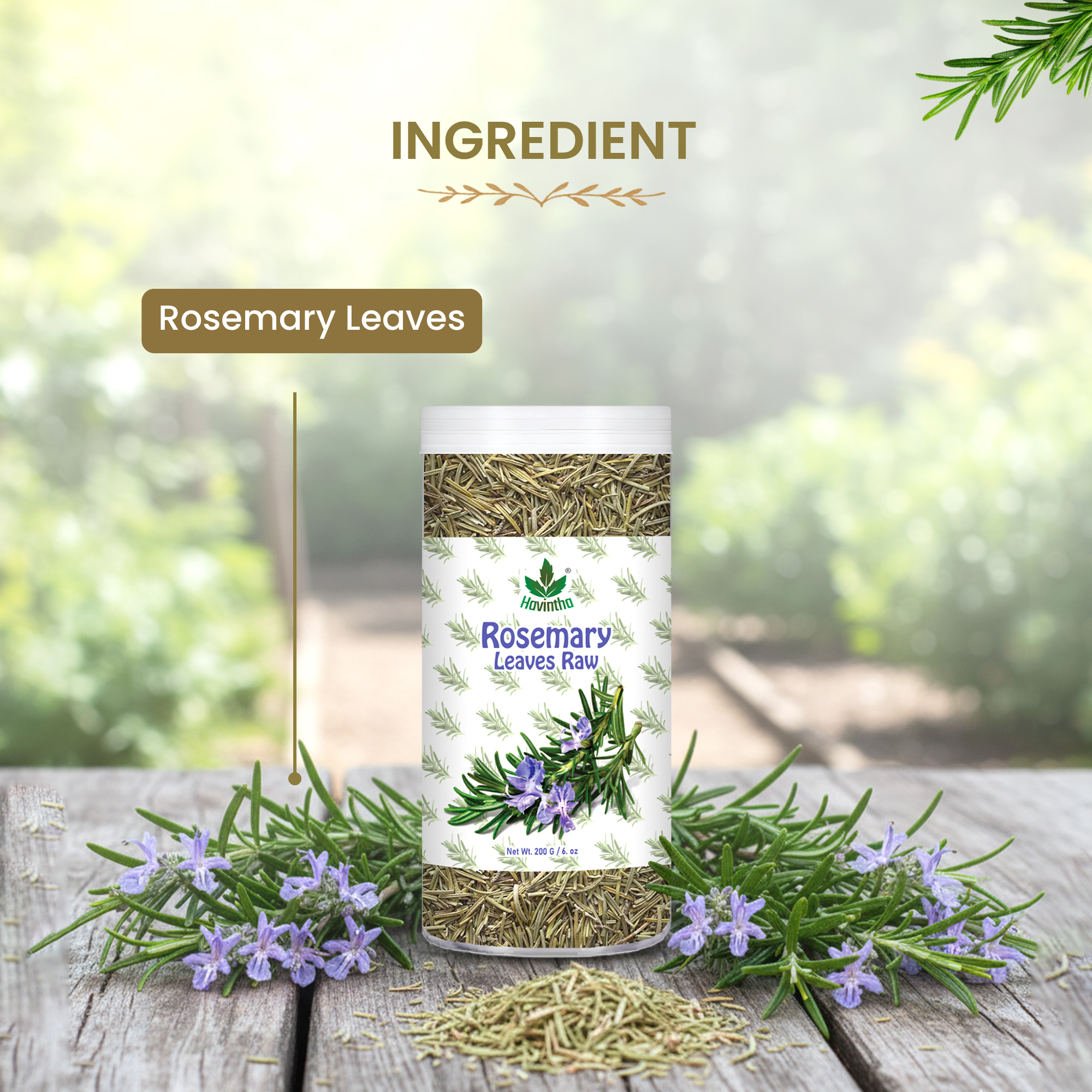 Havintha Rosemary Leaves 200g | Natural Dried Rosemary Leaves for Hair Care | Premium Quality
