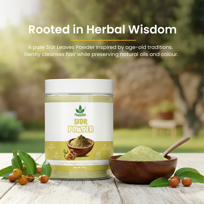 Havintha Herbal Sidr Leaves Powder 250g | Natural Hair Cleanser &amp; Conditioner | For Dry &amp; Damaged Hair