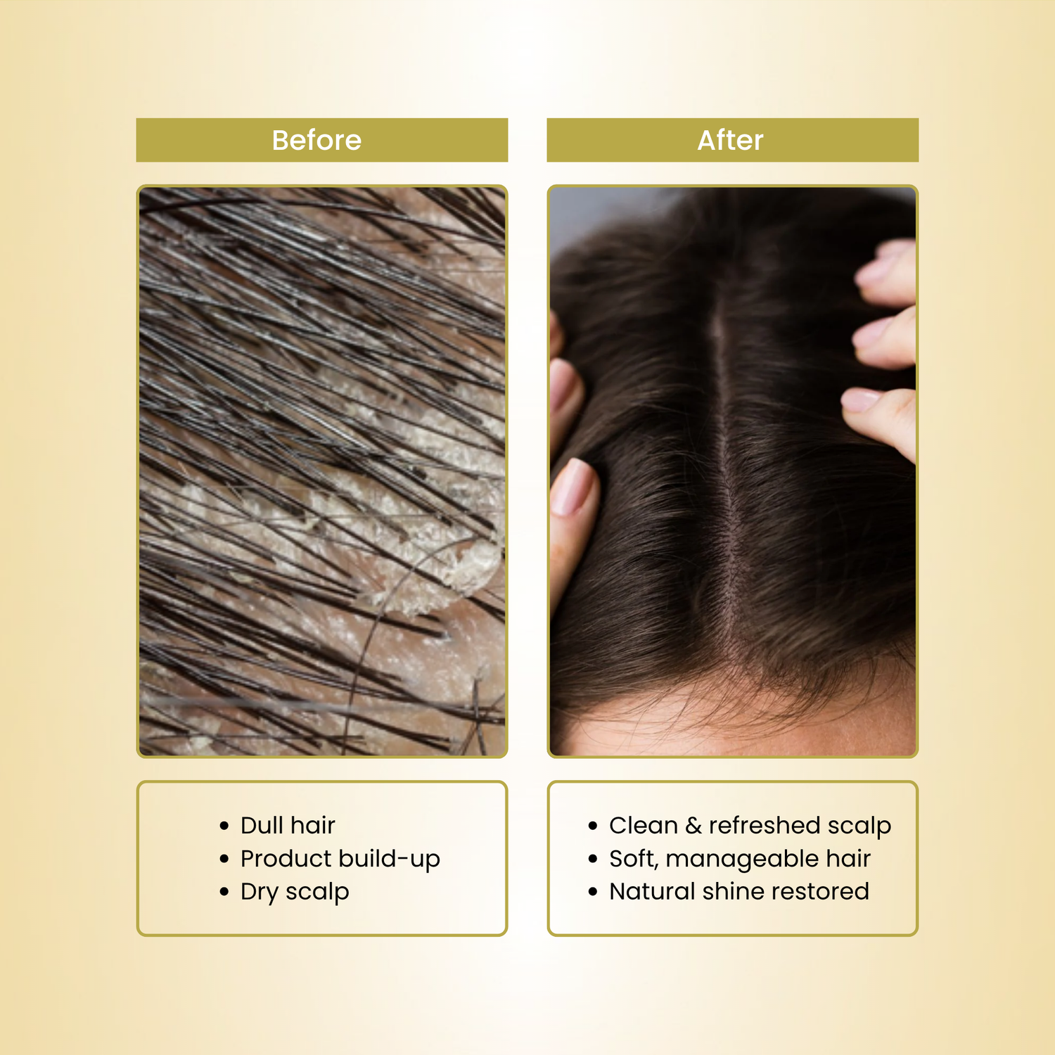 Havintha Herbal Sidr Leaves Powder 250g | Natural Hair Cleanser &amp; Conditioner | For Dry &amp; Damaged Hair