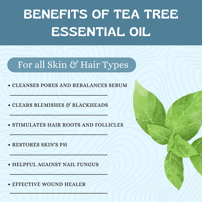 Havintha Tea Tree Essential Oil For Healthy and Glowing Skin, Acne, Dark spots and Reducing Dandruff | Pure and Organic-15 ml.