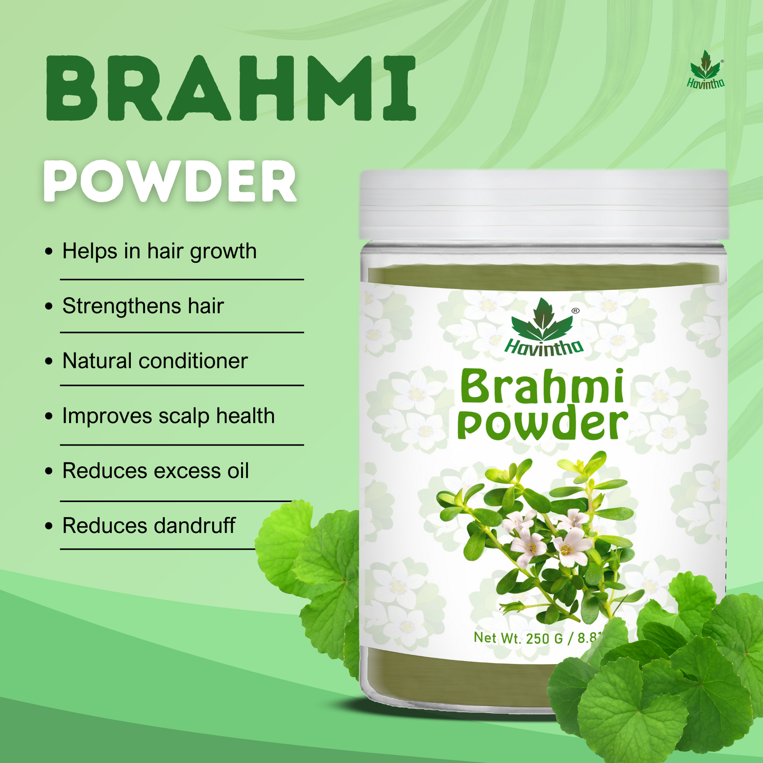 Havintha Brahmi Powder | For Good Health &amp; Haircare |  8 oz | 250 Grams (JAR)