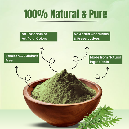 Havintha Natural Curry Leaves Powder (Murraya koenigii) for Hair Care | Hair Fall Solution | Curry Leaf for Hair Growth &amp; Strong, Healthy Hair | Natural &amp; Pure Kari Patta Powder | Shine &amp; Nourishes Scalp - 3.5 oz | 0.2 lb | 100 gm