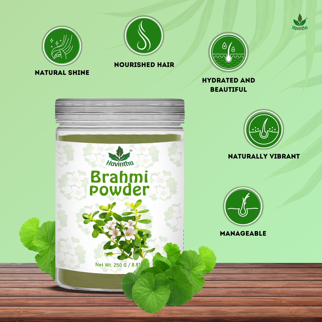 Havintha Brahmi Powder | For Good Health &amp; Haircare |  8 oz | 250 Grams (JAR)