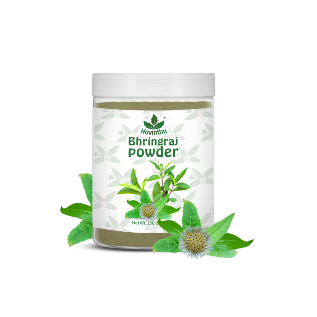 Havintha Natural Bhringraj Powder | For Strong &amp; Silky Hair | 8 oz | 250 Grams (JAR)