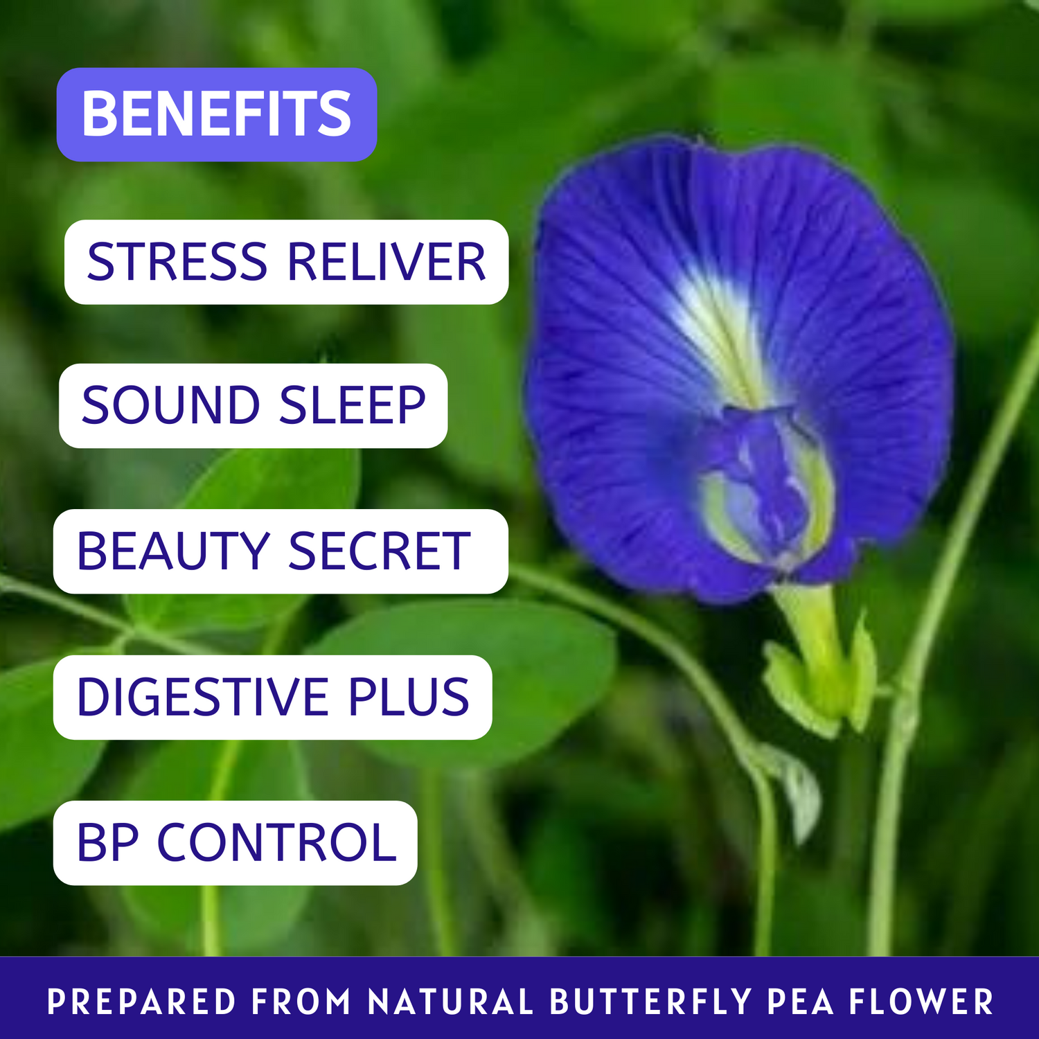 Havintha Natural Blue Tea - Butterfly Pea, Lemongrass, Tulsi, Cardamon, Cinnamon, and Mint - Vegan - Caffeine Free | Herbal Tea - 25 gm | 0.881 oz (50 Cups)