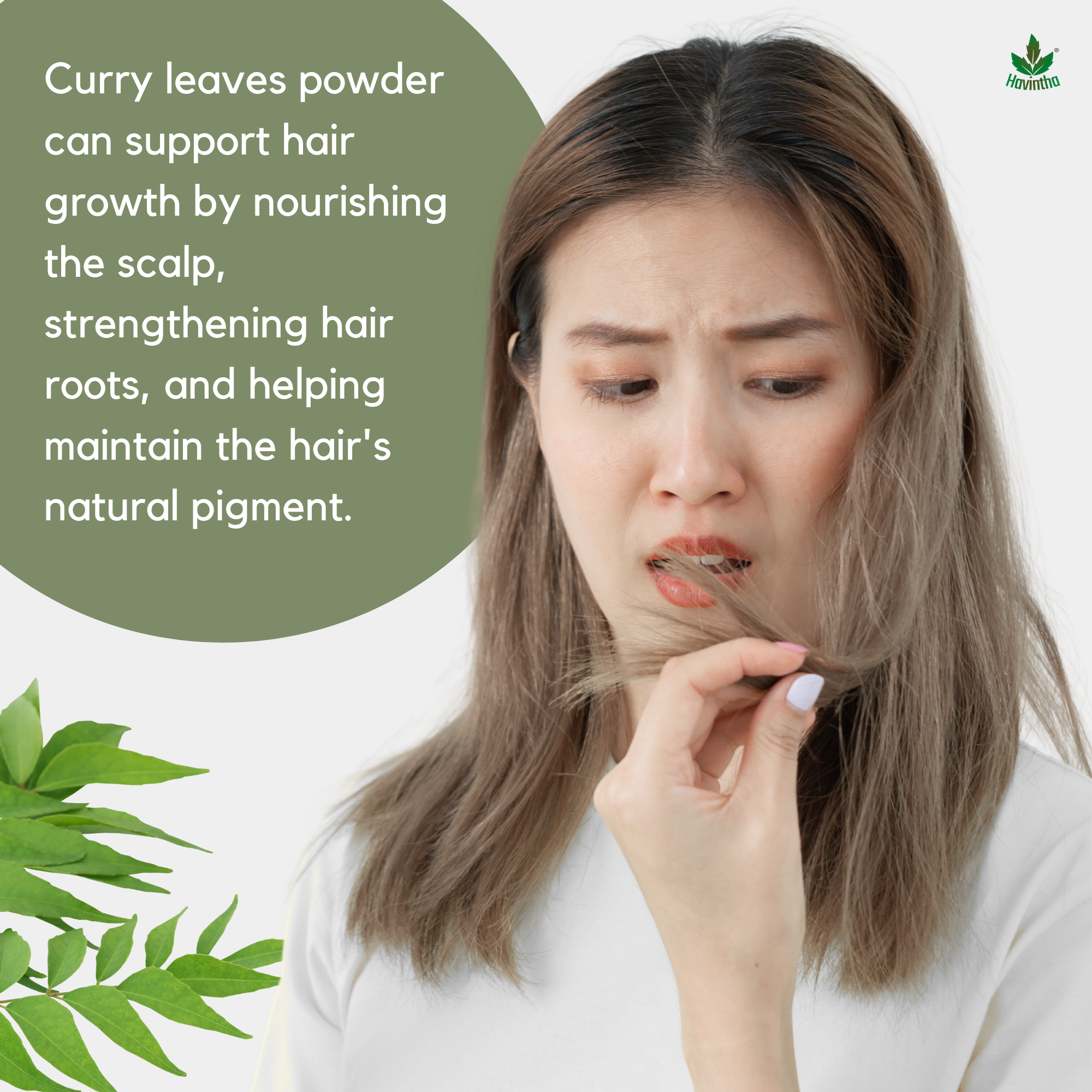 Havintha Curry Leaves Powder | For Strong &amp; Healthy Hair |  8 oz | 250 Grams (JAR)