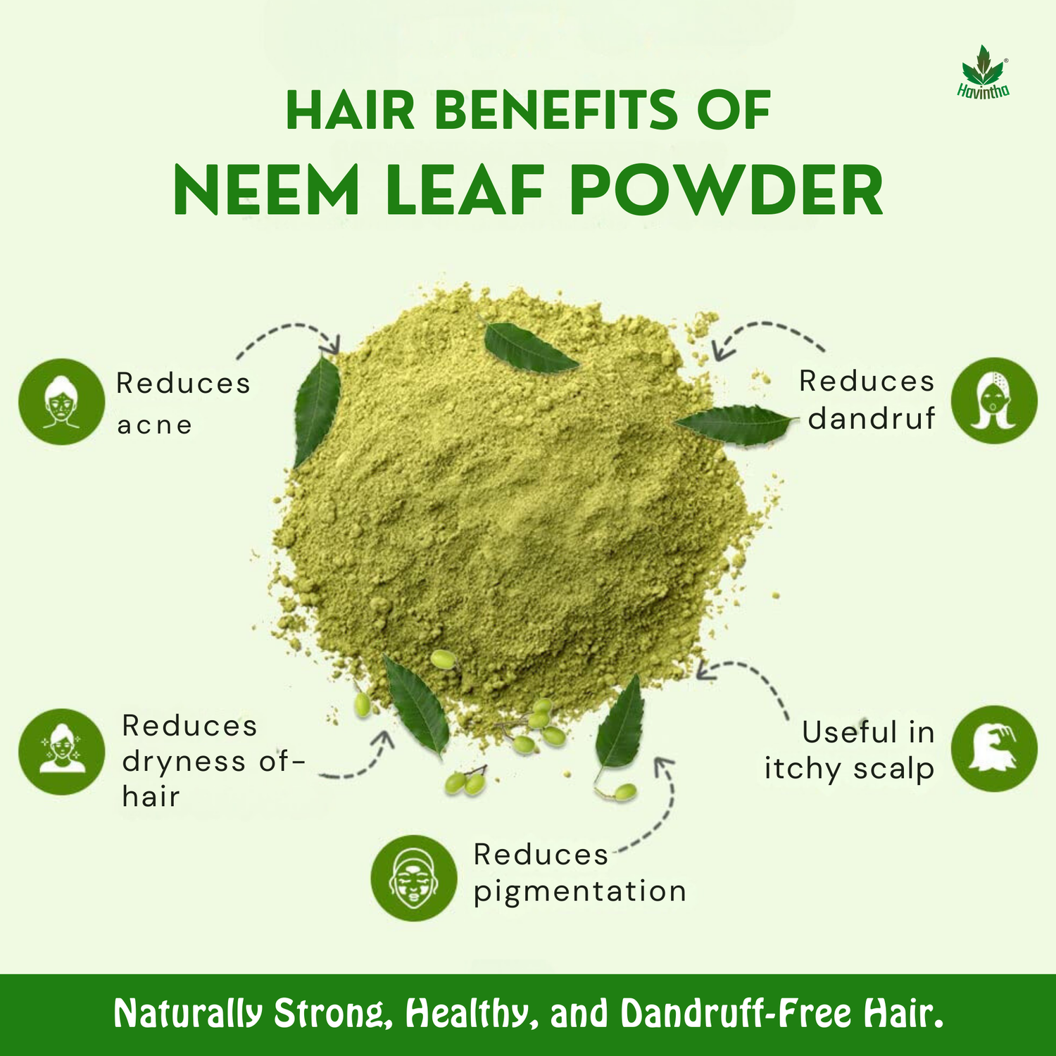 Havintha Natural Neem Powder | For Antioxidant Benefits | For Hair &amp; Skin Care |  8 oz | 250 Grams (JAR)