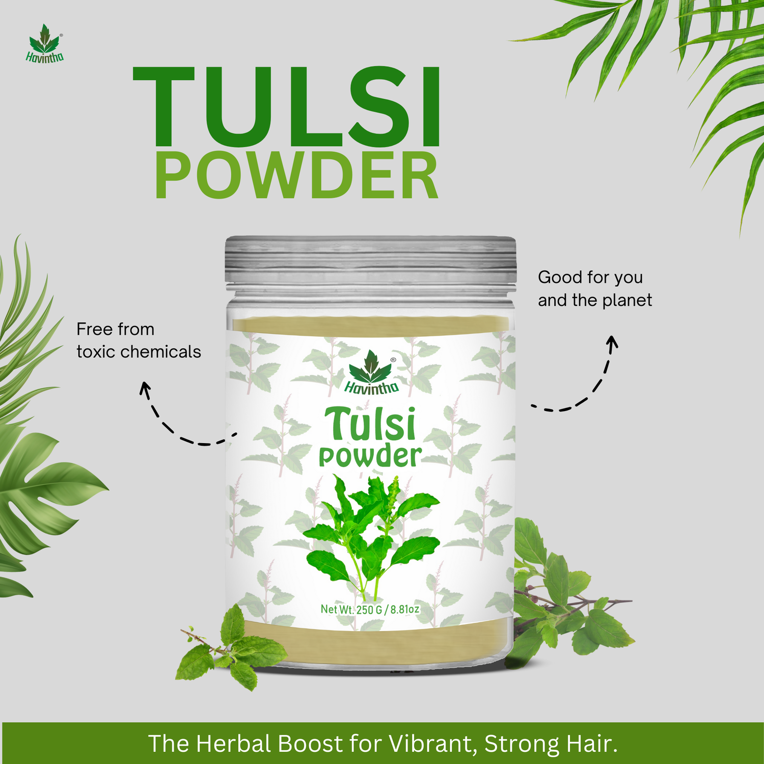 Havintha Natural Tulsi Powder | Good For Health &amp; Hair Care | 8 oz | 250 Grams (JAR)