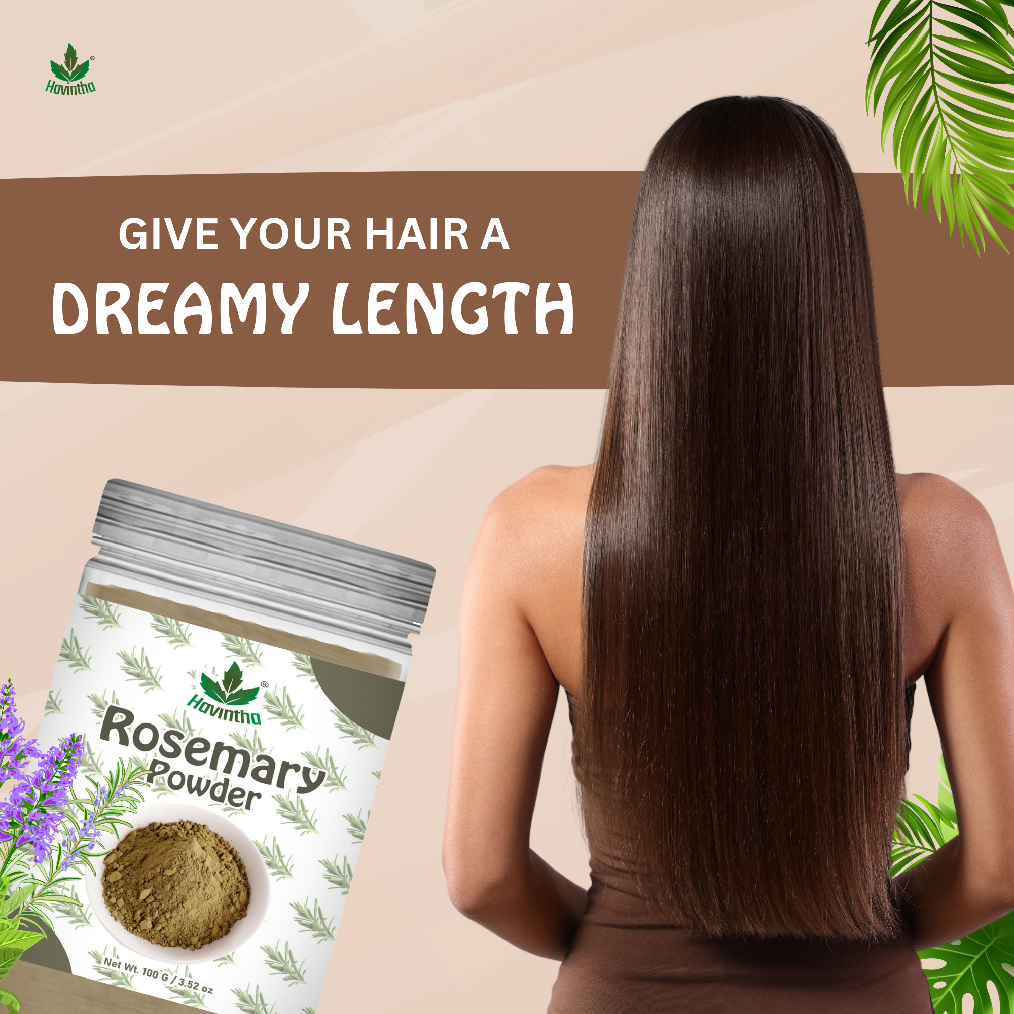 Havintha Natural Rosemary Powder For Shiny Hair|Rosemary powder for hair growth| Men &amp; Women - 3oz | 100gm