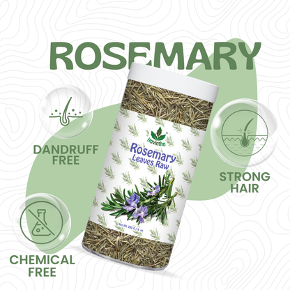 Havintha Natural Whole Rosemary Leaves | Rosemary Dried Leaves For Hair Growth | Edible Quality - JAR - 2oz | 80g