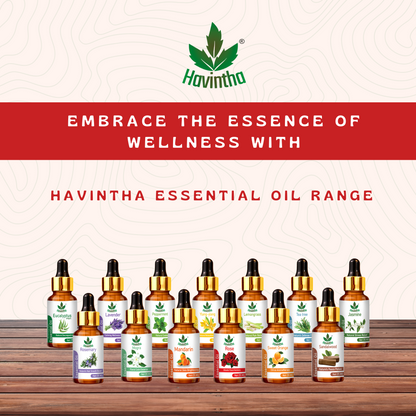 Havintha Rose Essential Oil For Hair, Skin and Stress Reduction | Pure and Organic Aroma - 15 ml