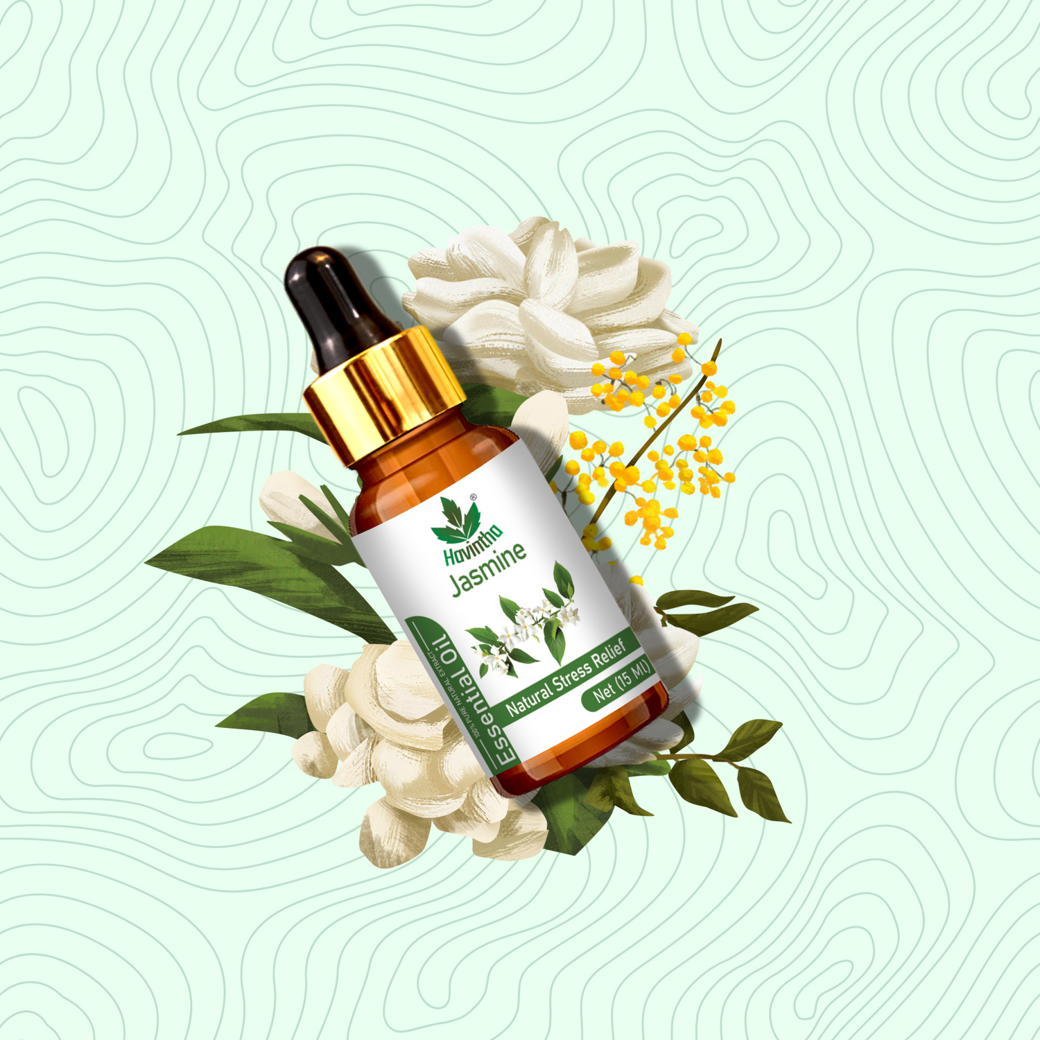 Havintha Pure and Organic Jasmine Essential Oil for Skin, Hair and Aromatherapy - 15 ml.