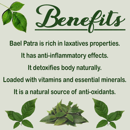 Havintha Natural Bilva Bael Patra/Leaf Powder | Aegle Marmelos is help in Maintaining the Healthy Blood Sugar Levels - 8 oz | 0.5 lb | 227 gm