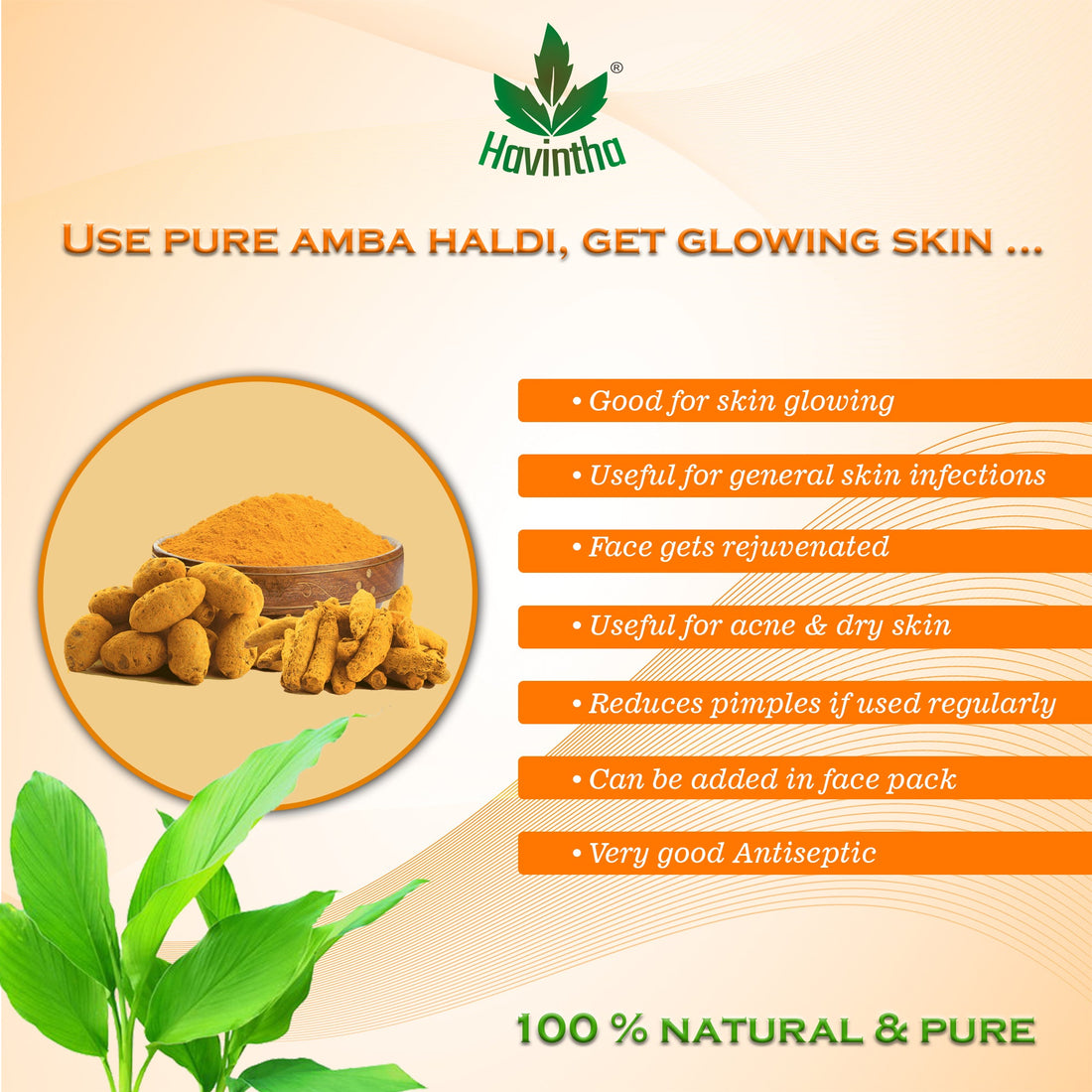 Havintha Wild Turmeric Powder for Face | Amba Haldi | Promotes Glowing Skin - 3.5 oz | 0.2 lb | 100 gm
