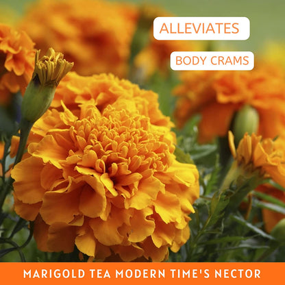 Havintha Natural Dried Marigold Flower Tea | Good Antioxidant | Marigold Tea -  1.7 oz | 0.1 lb | 50 gm