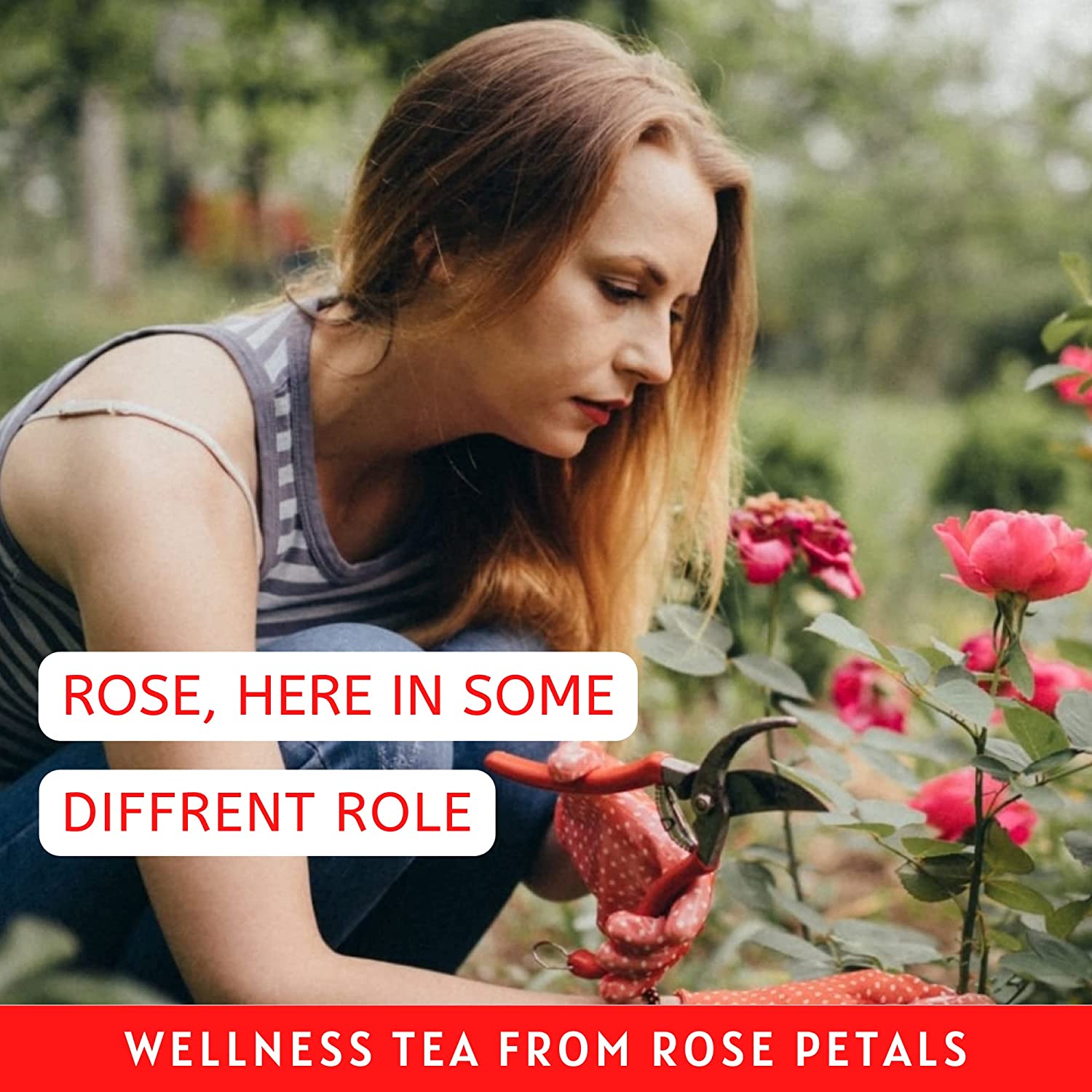 Havintha Natural Rose Tea | Herbal Tea - Rose Petals for Hair and Skin | High in Vitamin C - 1.7 oz | 0.1 lb | 50 gm