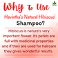 Havintha Natural Amla Reetha Shikakai Methidana And Hibiscus Powder Shampoo - 8 oz | 0.5 lb | 227 gm