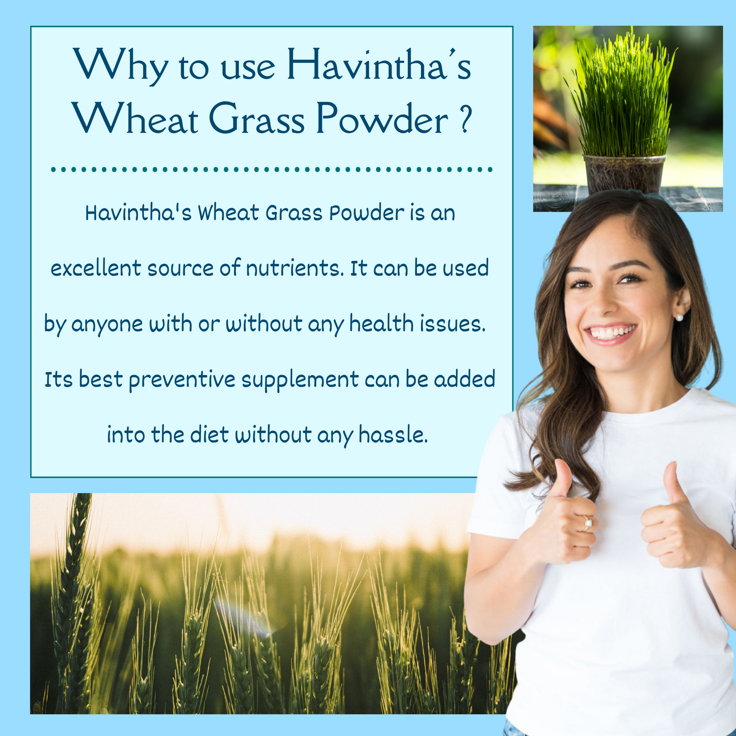 Havintha Wheat Grass Powder for Weight Loss 3.5 oz 0.2 lb 100 gm